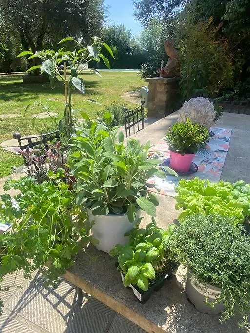 Daire Green Escape Guesthouse With Pool In Villa Floransa