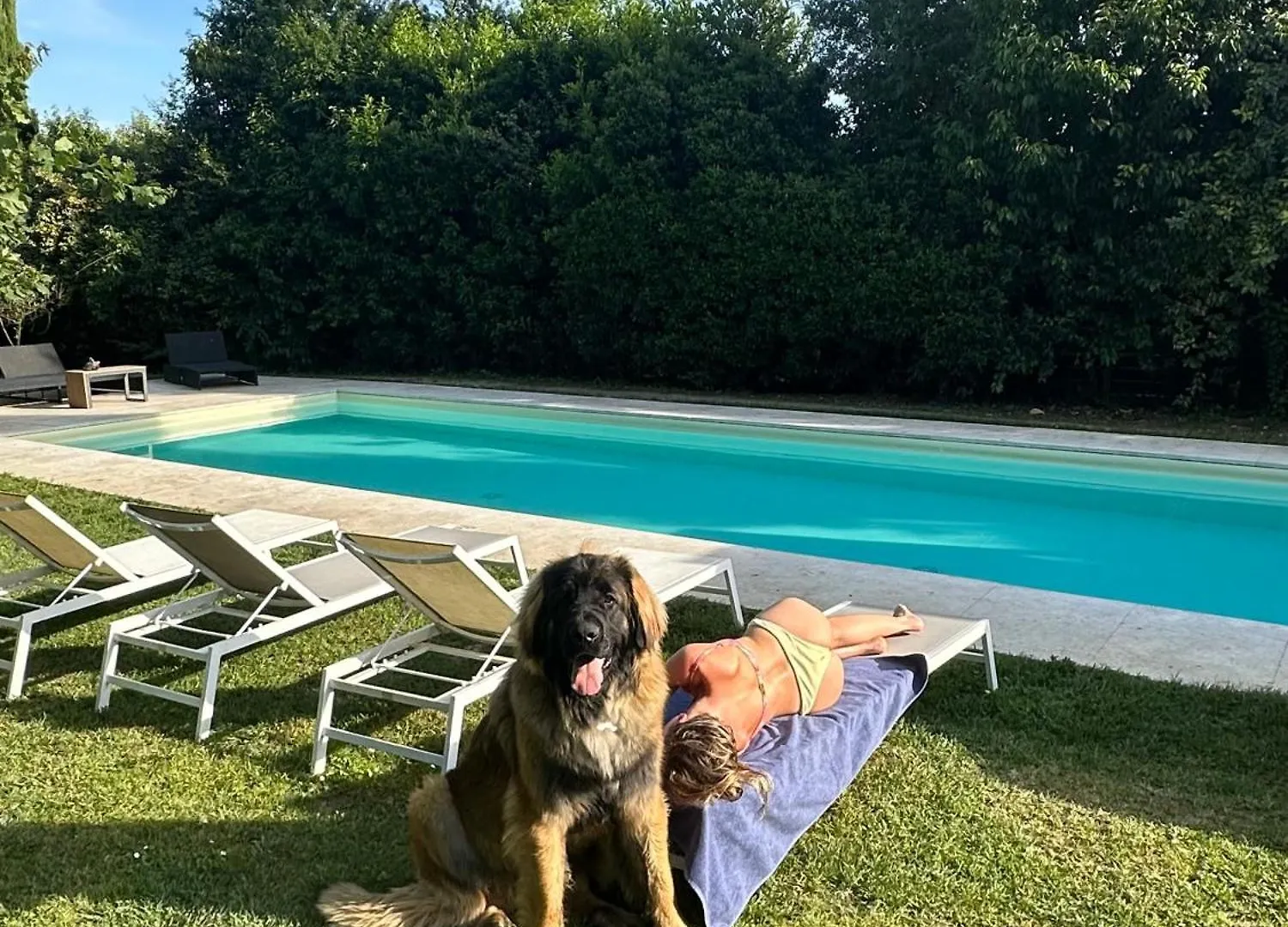 Green Escape Guesthouse With Pool In Villa Florence 0*,